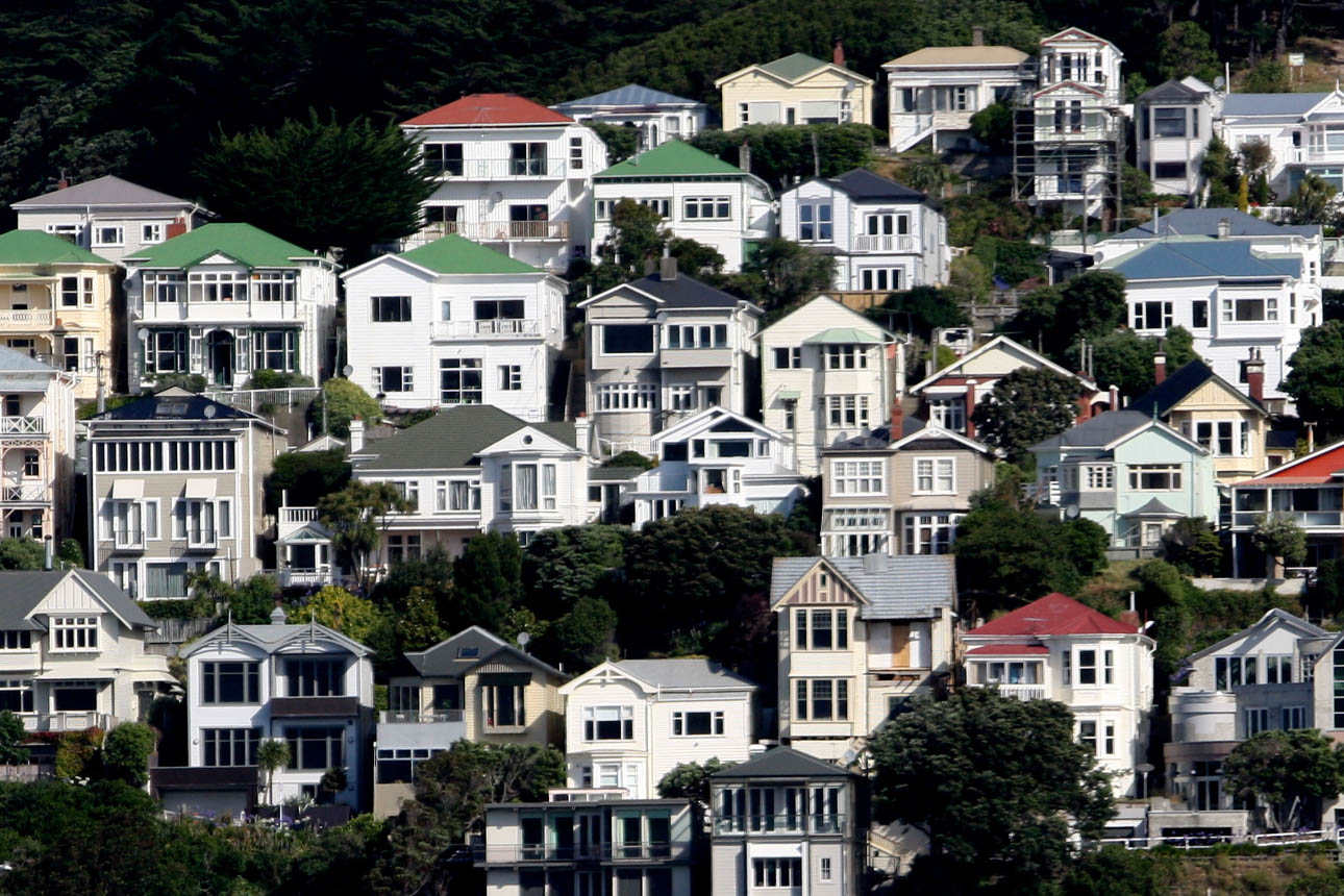 Image of New Zealand flats