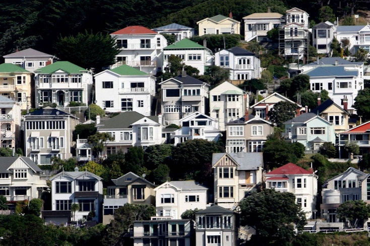 Image of New Zealand flats