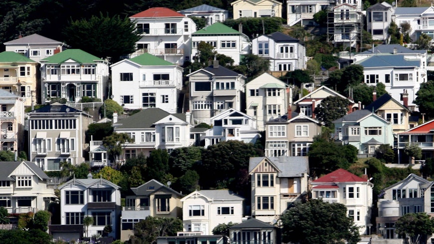 Image of New Zealand flats