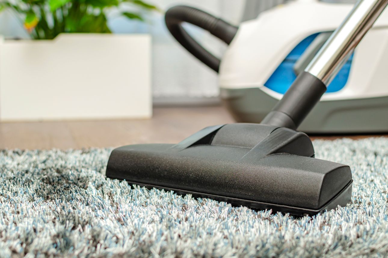 Image of a vacuum cleaner