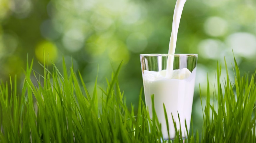 Image of milk in a glass