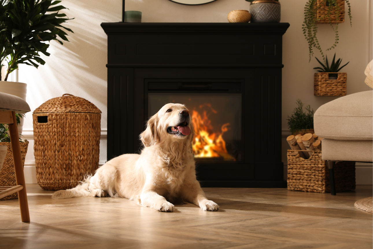 The best heating products and expert tips for 2025 promo