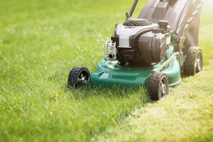 Image of a lawnmower