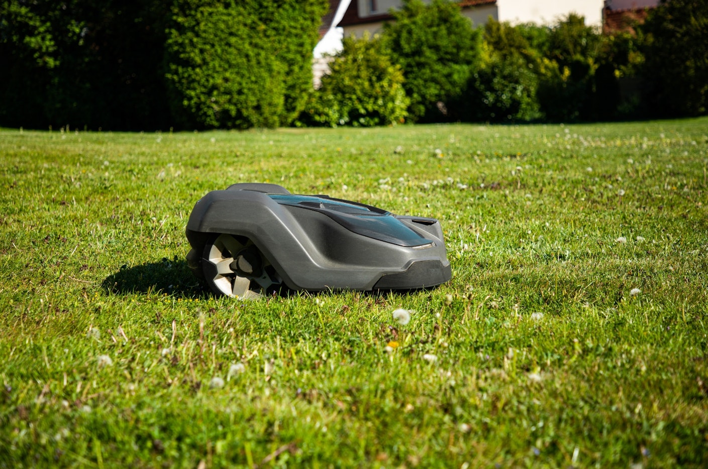 Robot lawn mower on grass