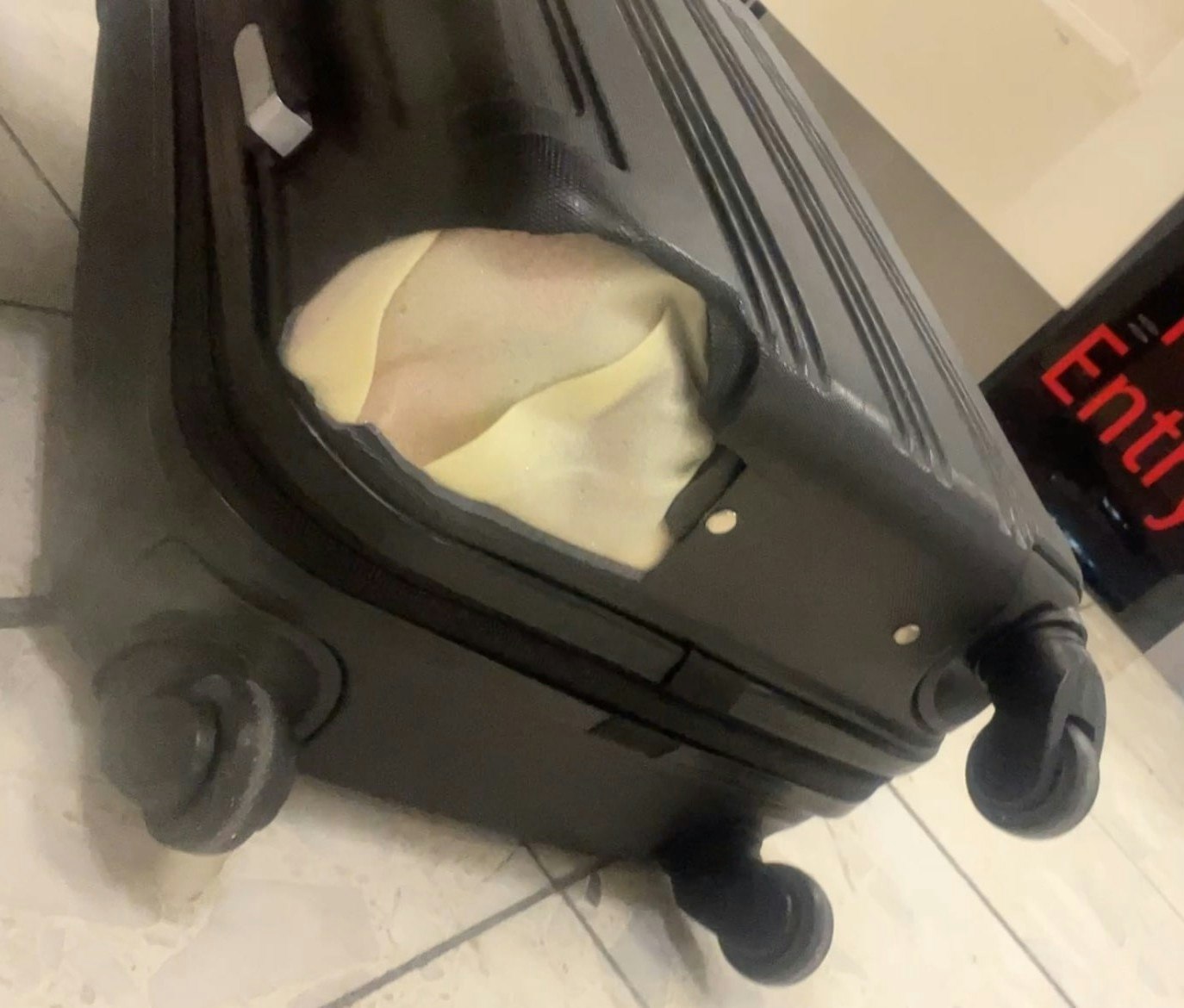 Abby's broken suitcase.