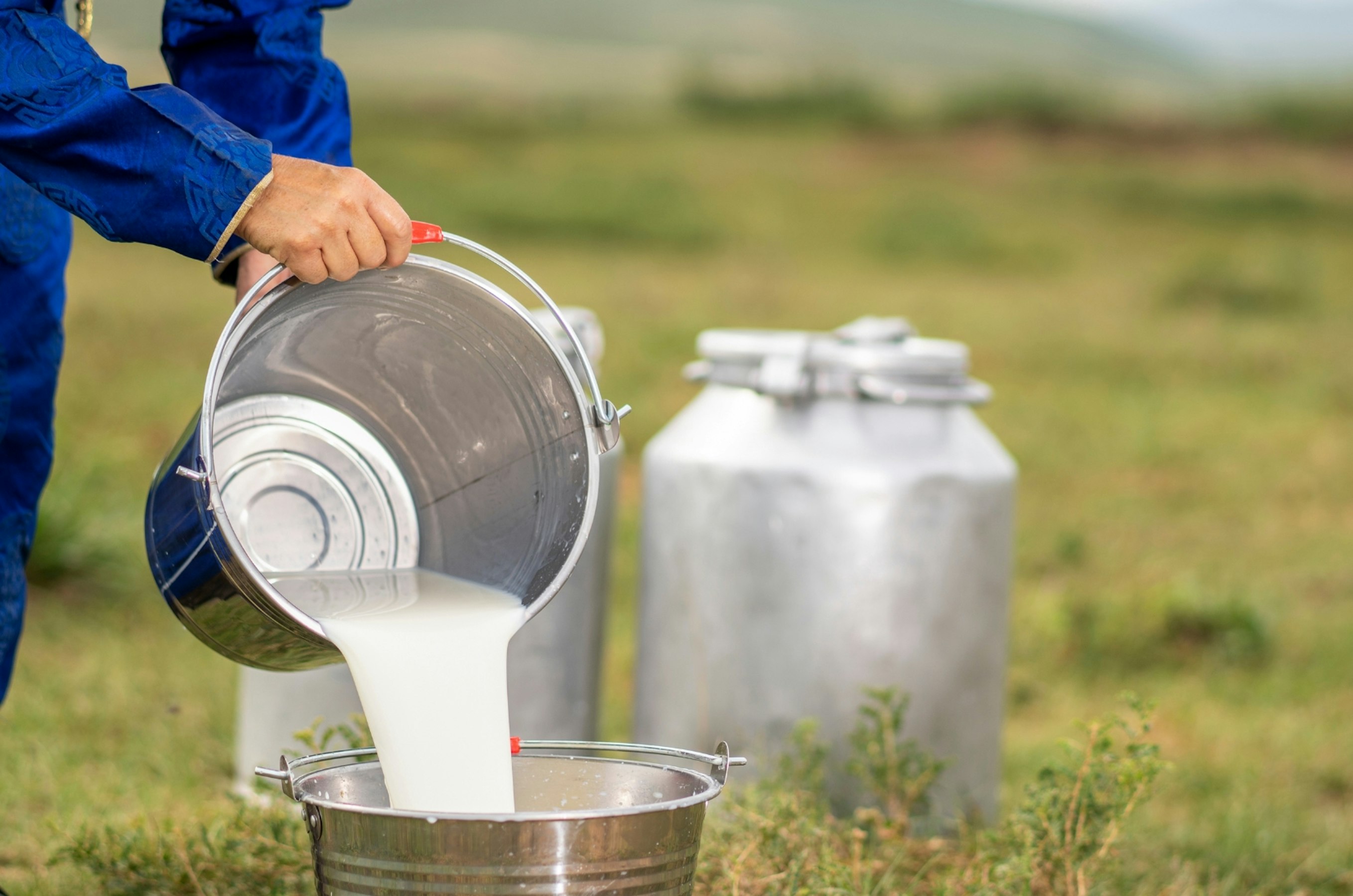 5 risky foods in your kitchen — Consumer NZ