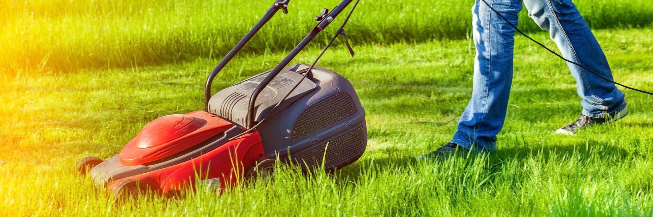 Man using lawn mower.