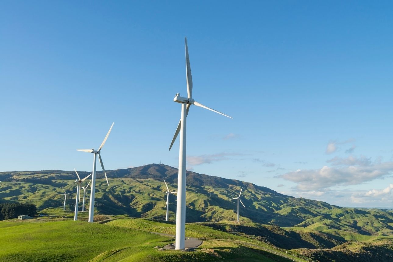 Nz electricity future promo