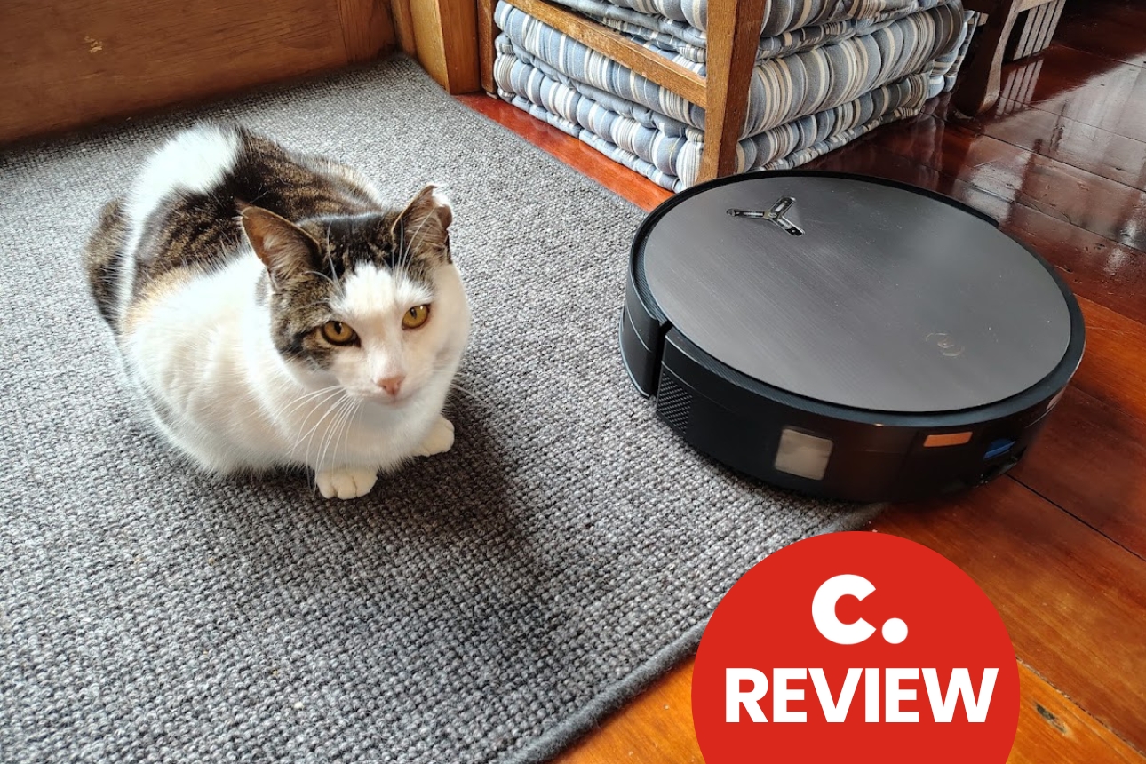 Cat next to robot vacuum.