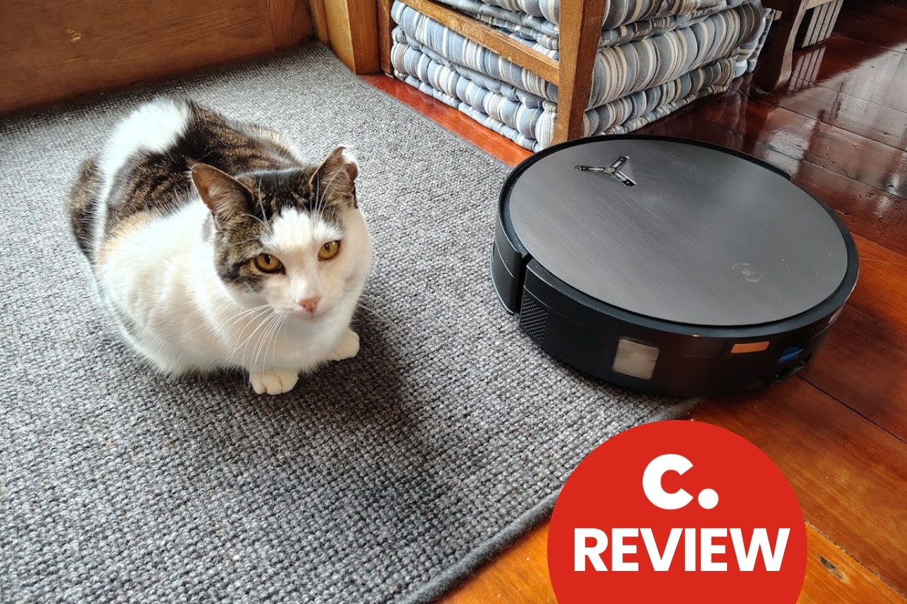 Cat next to robot vacuum.