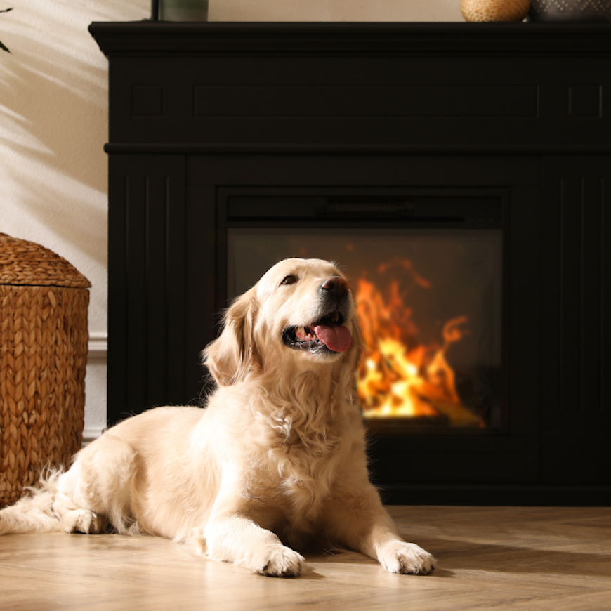 The best heating products and expert tips for 2025 social