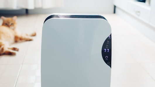 Image of a dehumidifier by a cat
