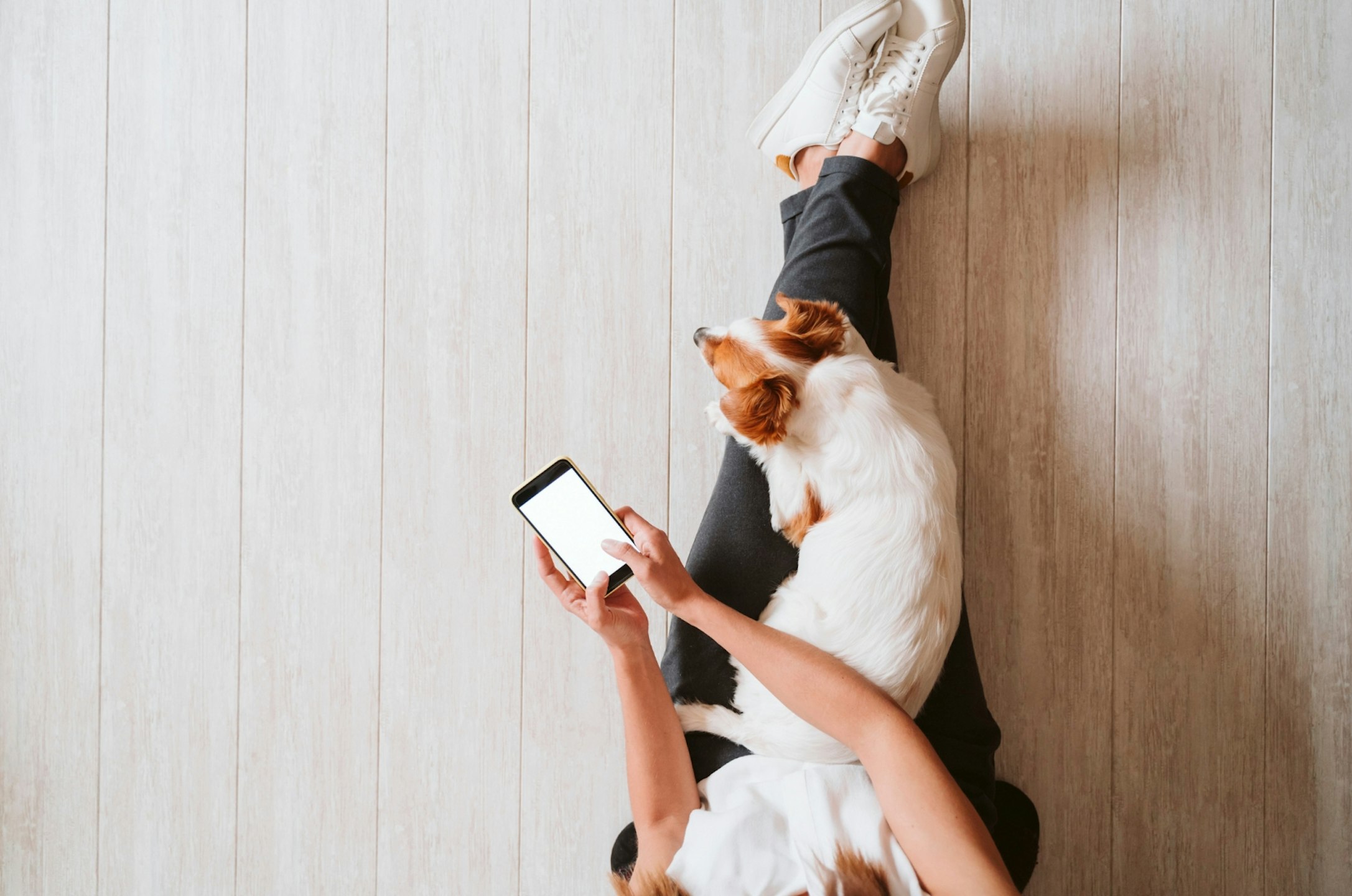 5 tech tips for looking at your phone less in 2026