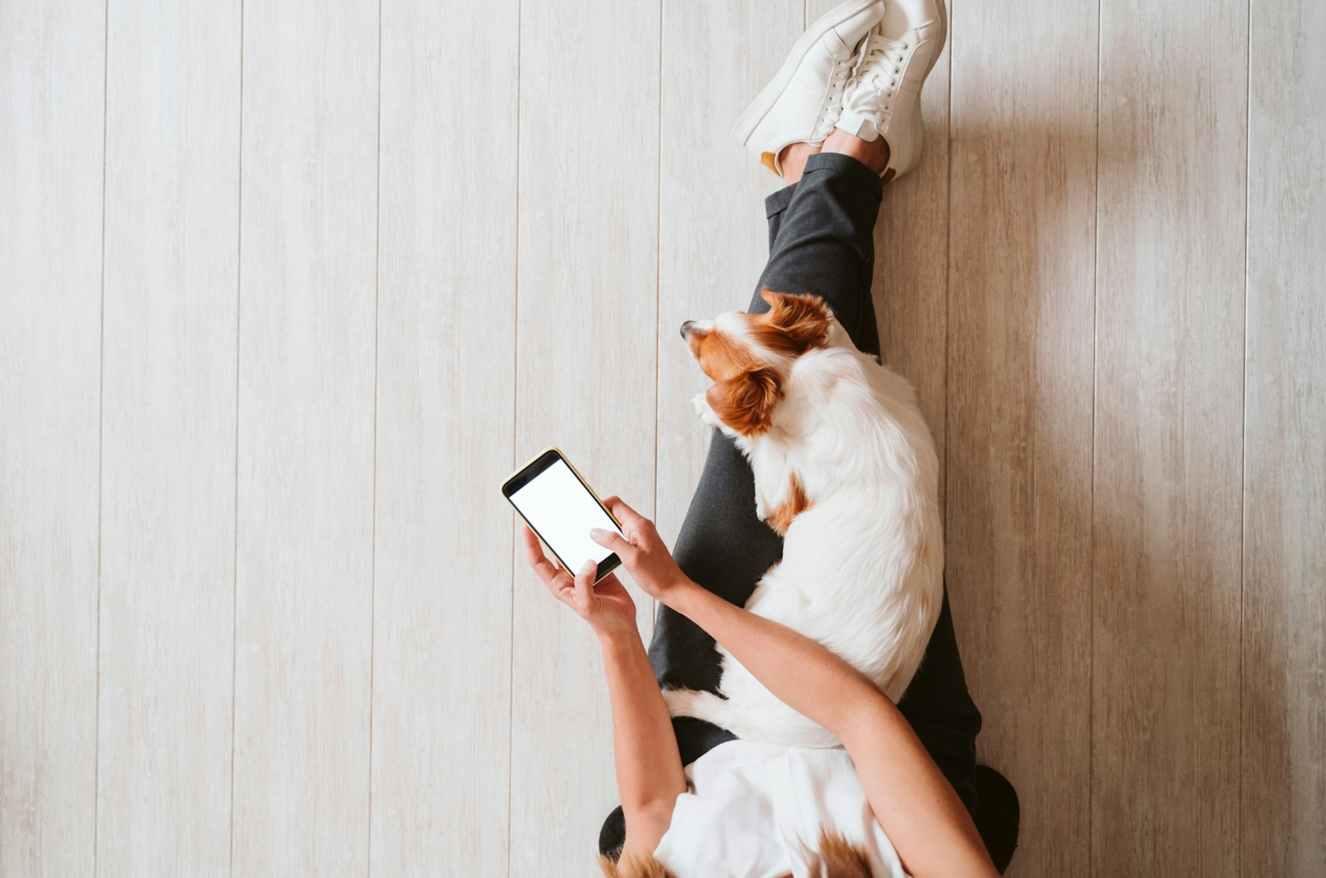 5 tech tips for looking at your phone less in 2026