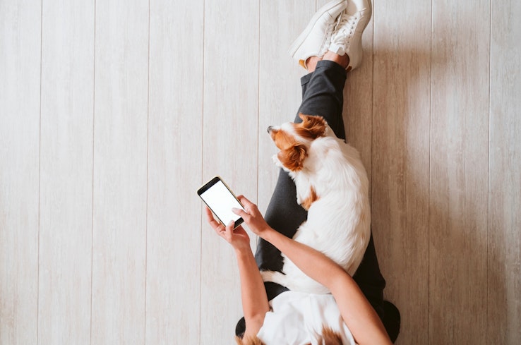 Person using phone while dog lays on their lap.