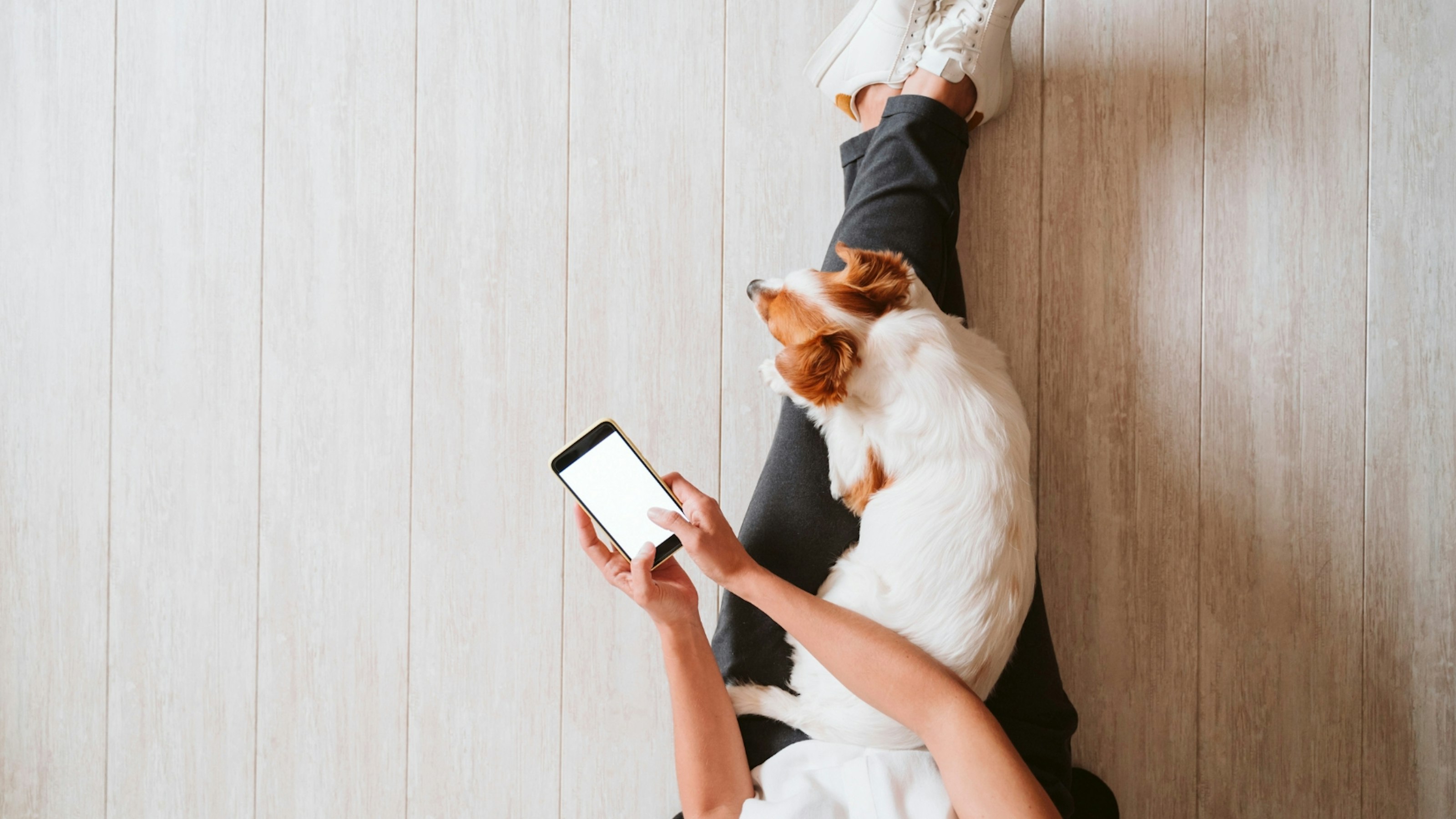 Using Phone Less Log 5 tech tips for looking at your phone less in 2026